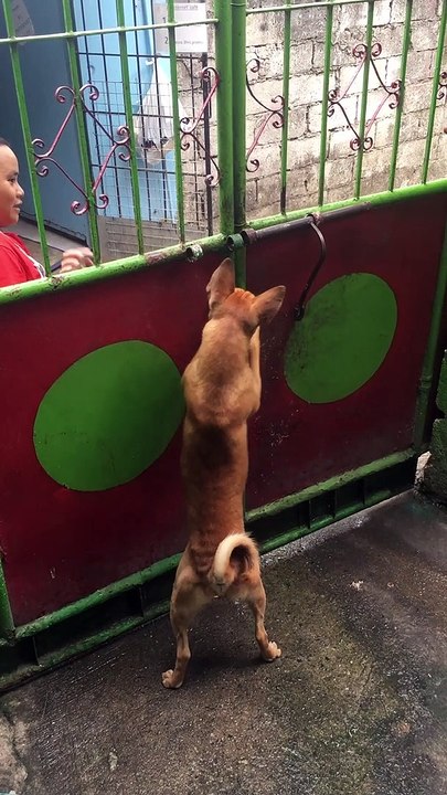 Escape Artist Finally Thwarted