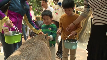 화창한 5월 첫 주말...나들이객으로 '북적' / YTN