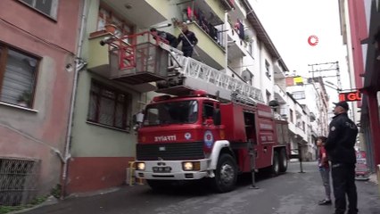 Kediyi kurtarmak için seferber oldular