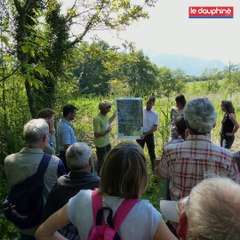 Qu'est-ce qu'une zone humide ?