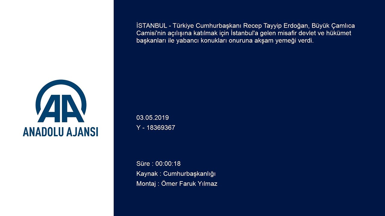 Cumhurbaşkanı Erdoğan, misafir devlet ve hükümet başkanları ile yabancı konukları onuruna akşam yemeği verdi - İSTANBUL