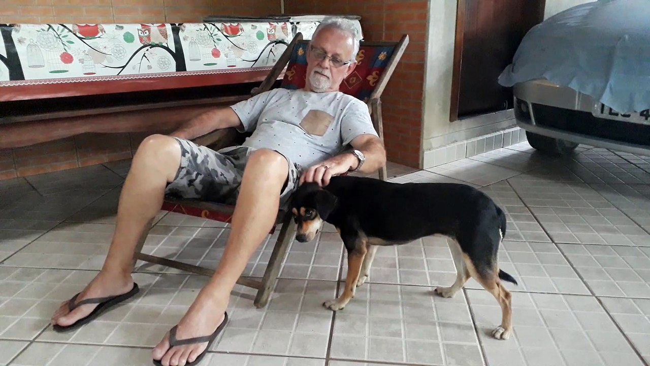 Dog Can't Get Enough Head Scratches