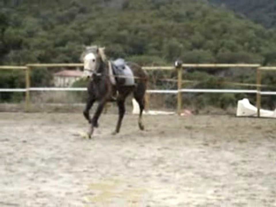 MOV04034