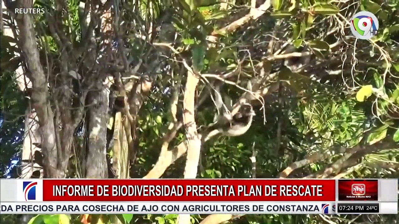 COLOR VISIÓN LIVE (1837)