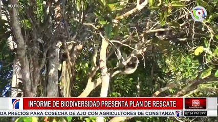 COLOR VISIÓN LIVE (1837)