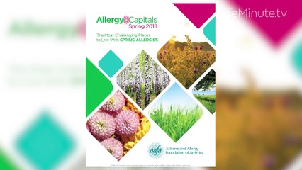 Home Refresh Tips to Tackle Asthma and Allergies