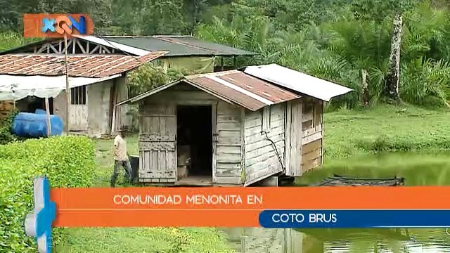 mqn - Los Menonitas luchan día con día para seguir apegándose a sus tradiciones-030519