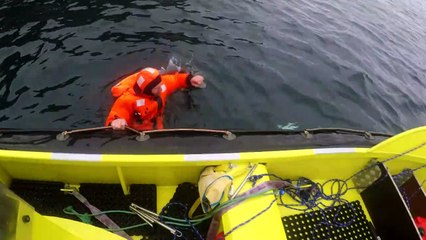 Beluga sospechosa de ser espía rusa, alimenta fantasías