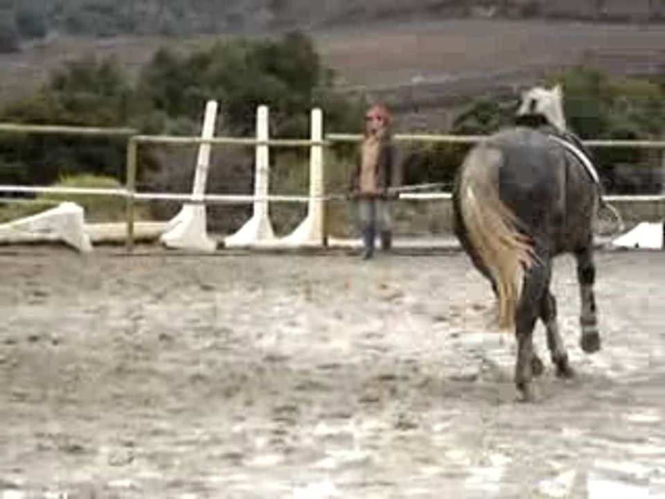 MOV04035