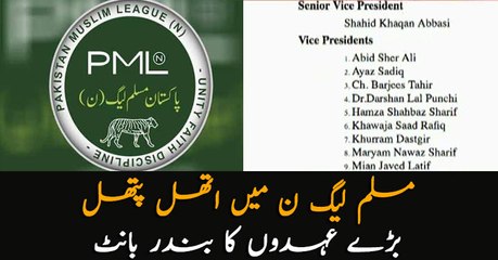 PML-N announced the list of new office bearers of the party