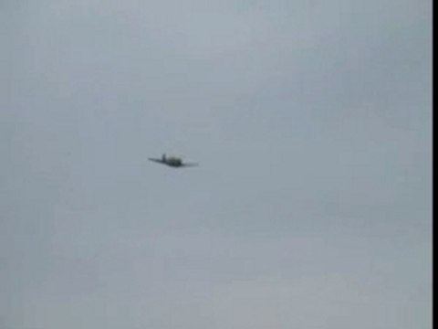 Oldtimer Fliegertreffen Hahnweide 2007 P-40 Kitty Hawk, JU52