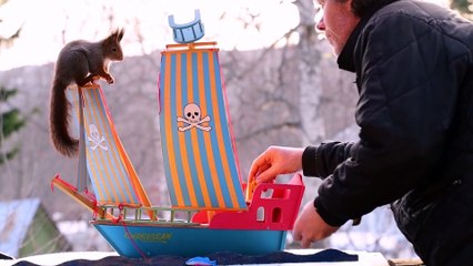 Photos of squirrels in the Games of Thrones