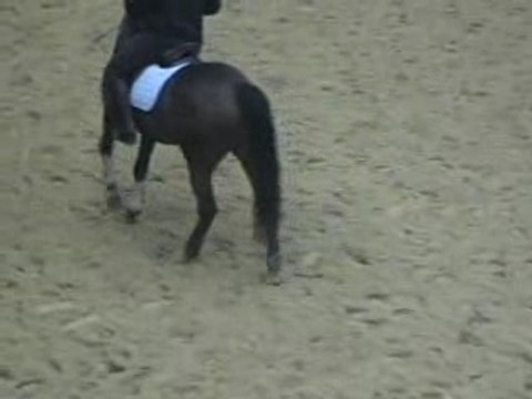 séance obstacle made in g pas compris