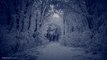 Celtic Music - Winter Fearies -  Musique Celtique - Fées d'hiver 4K !