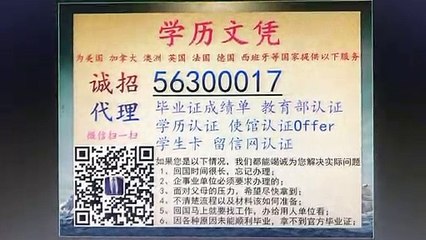 办澳洲毕业证（q微56300017）UOW文凭/伍伦贡大学毕业证书成绩单/申请办理使馆认证留信网认证offer
