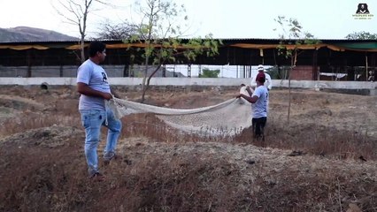 Two young leopards rescued from water tank in India