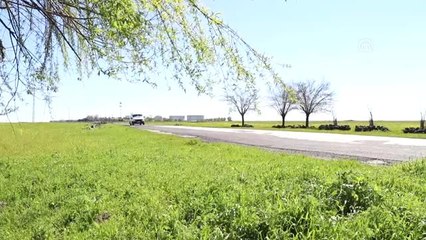 Diyarbakırlı Kadınlar Köy Yaşamına Renk Katıyor (1)