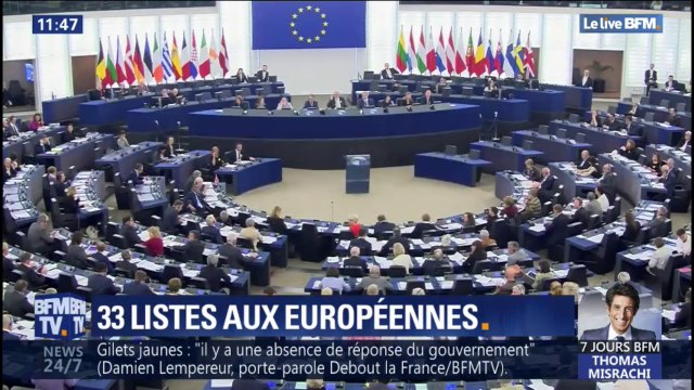 Quelles sont les figures des 33 listes pour les élections européennes?
