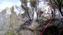 Kavacık'ta Ormanlık Alanda Yangın -3