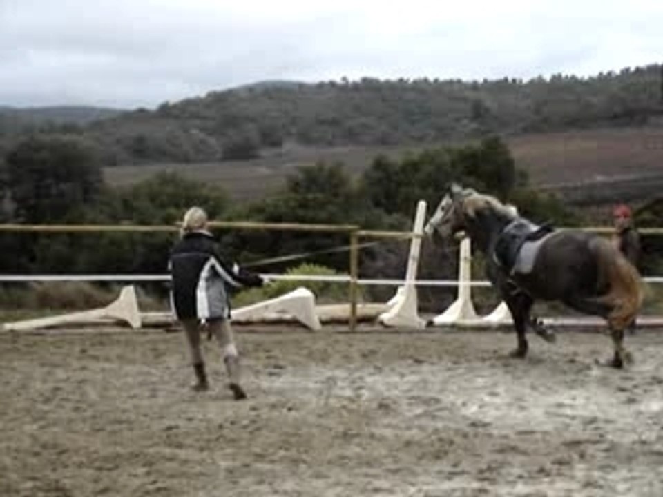 MOV04038