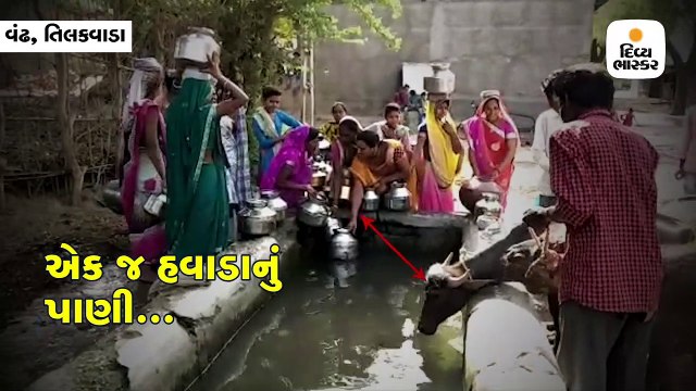 વંઢ ગામના લોકો અને પશુઓ એક જ હવાડાનું પાણી પીવે છે