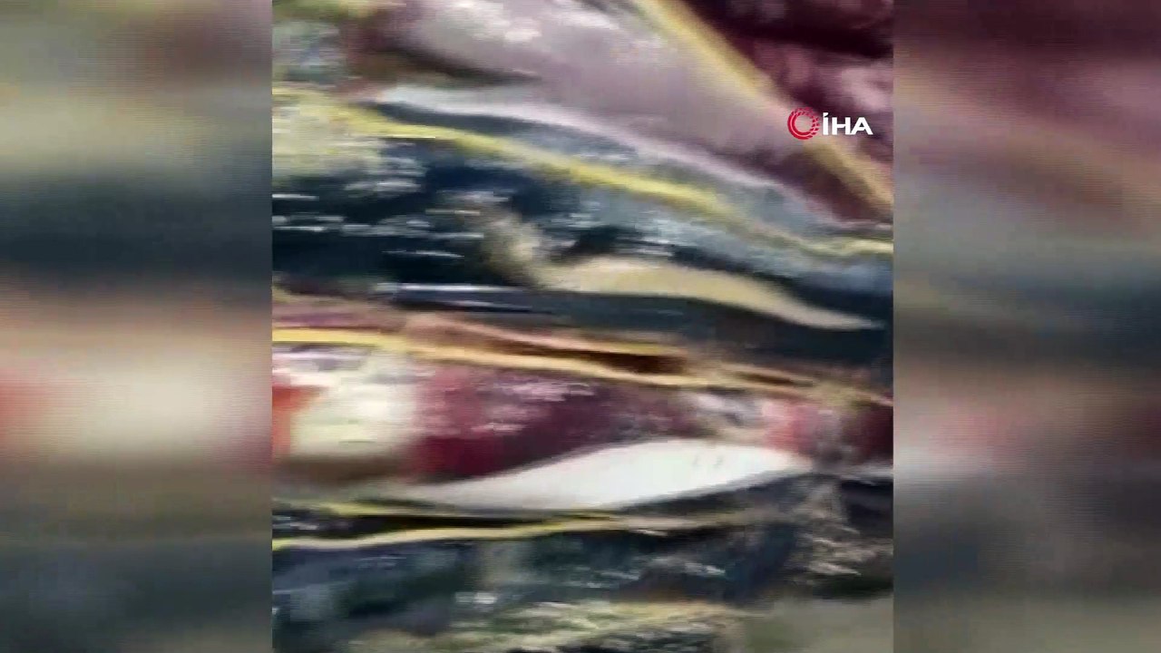 Sağanak yağış sele neden oldu, iş yerleri sular altında kaldı