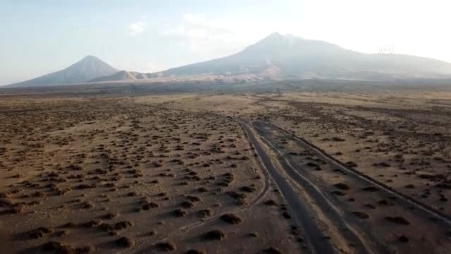 Ağrı Dağı'nın minik sürüngeni: Topbaş keleri