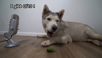 금정출장안마-후불100%ョOiOV8279V9904｛카톡TU989｝ 금정전지역출장안마 금정오피걸 금정출장마사지 금정안마 금정출장마사지 금정출장콜걸샵 ёФ▀금정출장샵