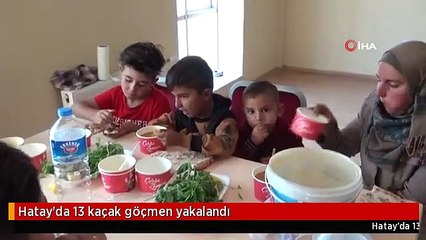 Hatay'da 13 kaçak göçmen yakalandı