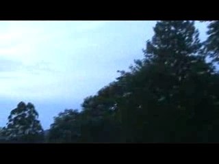 Asas do Beija-Flor / Casa dos Pandavas