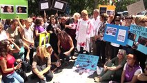 CHP kadın kollarından kadın cinayetlerine tepki