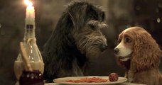 Lady and the Tramp _ Official Trailer _ Disney+