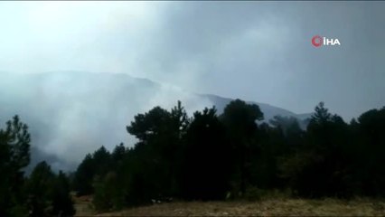 Kütahya'daki ikinci orman yangını sürüyor