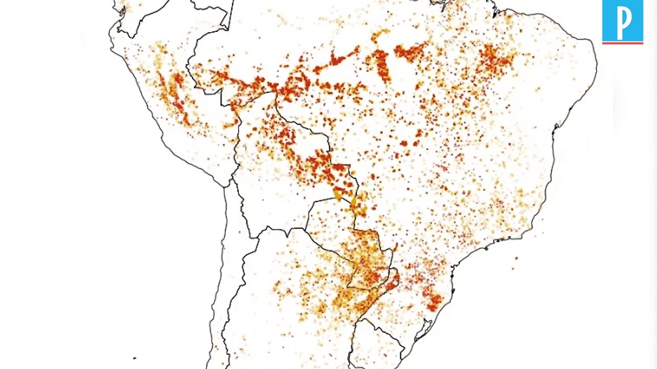 Yann Arthus-Bertrand : «On a perdu le combat contre le changement climatique»