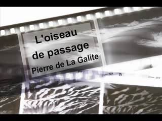 L'oiseau de passage - Pierre de La Galite