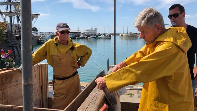 Voiles de travail : démonstration du travail de la morue