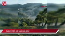 Tarsus'ta orman yangını