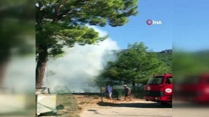 - Antalya'da antik kentte yangın çıktı