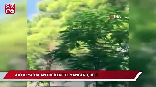 Antik kent yakınlarında korkutan yangın!