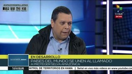 Reporte 360: Movilización global por incendios en la Amazonía