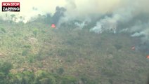 Amazonie : des images aériennes de la forêt en feu dévoilées (vidéo)