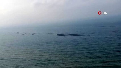 Karadeniz'de sel suları tonlarca fındığı denize döktü