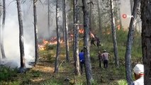 Uşak'ta çıkan orman yangını kontrol altına alındı