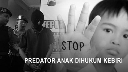 Highlight Primetime News - Predator Anak Dihukum Kebiri