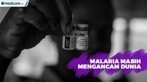 Investasi Kesehatan terhenti, Malaria Masih Mengancam Dunia