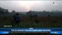 Pencuri dan Polisi Terlibat Kontak Senjata di Jambi