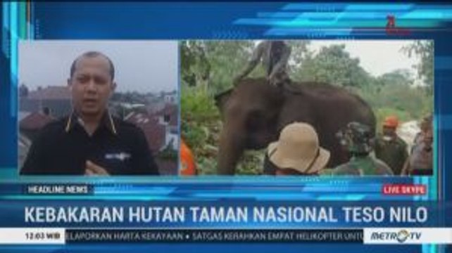 Karhutla Ancam Habitat Gajah dan Harimau di Taman Nasional Tesso Nilo