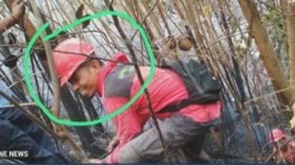 Anggota Manggala Agni Tewas saat Padamkan Api