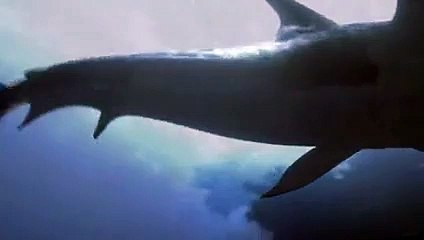 동해출장안마 -후불100%ョØ7ØM7575M0069｛카톡CC6969｝ 동해전지역출장안마 동해오피걸 동해출장마사지 동해안마 동해출장마사지◔≦◕동해콜걸샵