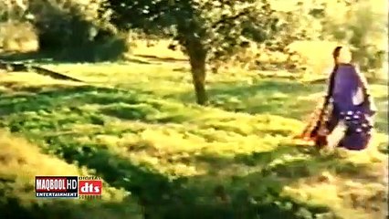 saima+momar rana-dil le ja niki jai haan kar kar